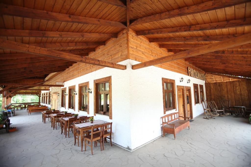 Siedlisko Brzeziniak Hotel Cisna Kültér fotó